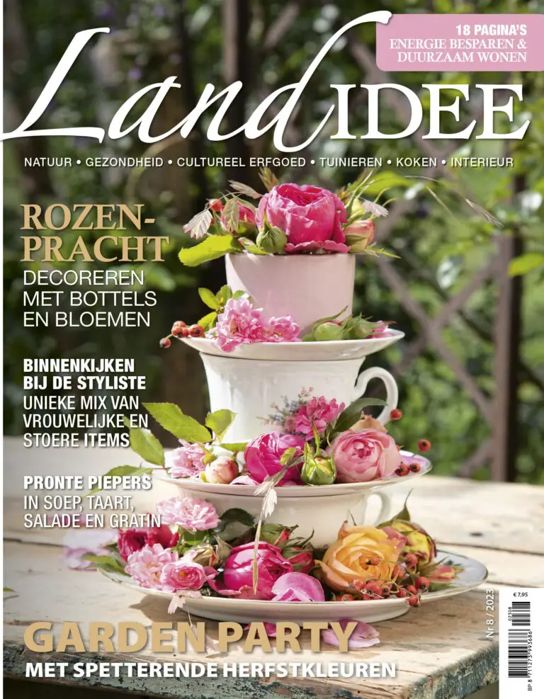 Cover van Landidee nummer 8 2023