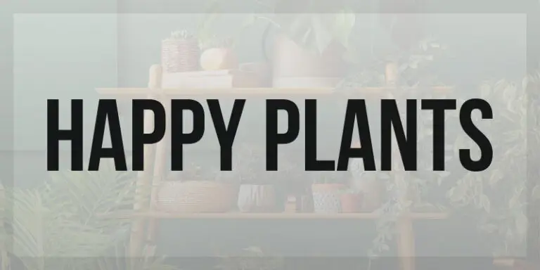 Afbeelding met de tekst HAPPY PLANTS