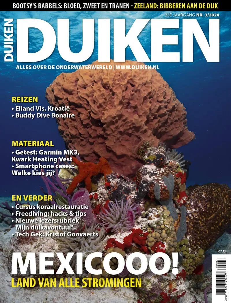 Cover van Duiken