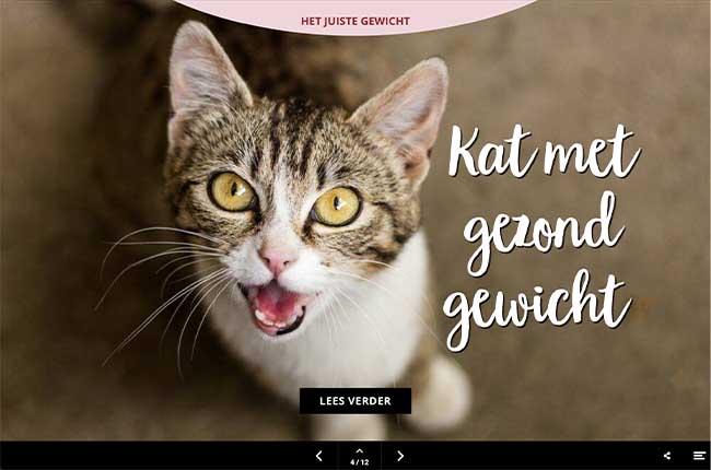 Digital magazine Royal Canin voorbeeldpagina