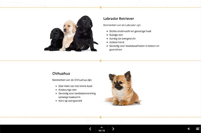 Digital magazine Royal Canin voorbeeldpagina